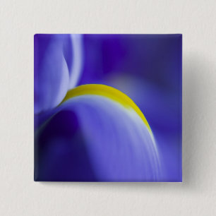 Close-up detail of a Blue Flag iris. 15 Cm Square Badge