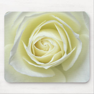 Close up details of white rose mouse pad