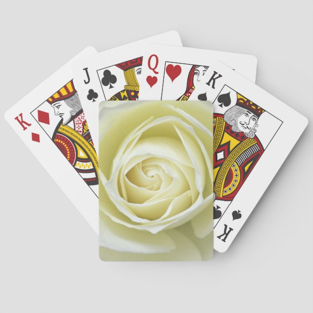 Close up details of white rose playing cards (Back)