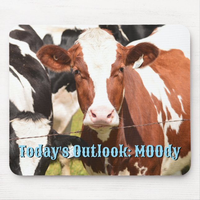 Close-up Face of Red, White Holstein Dairy Cow Mouse Pad (Front)