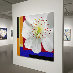 Close Up Floral Photo of White Spring Blossom Poster