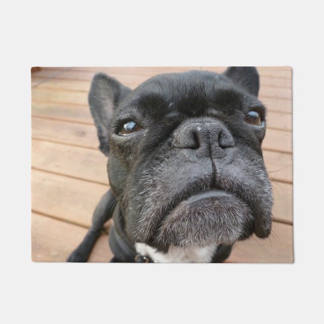 Close Up Frenchie Door Mat (Front)
