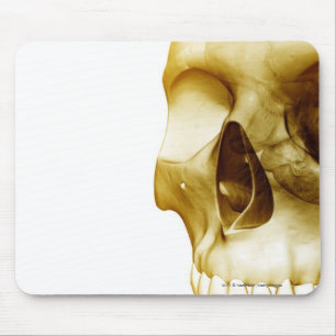 Close up frontal view of the brain inside a skull mouse pad