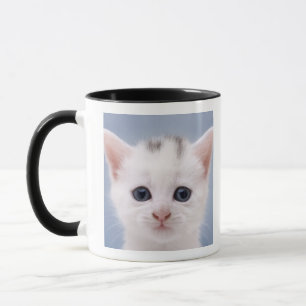 Close up image of a predominately white faced mug