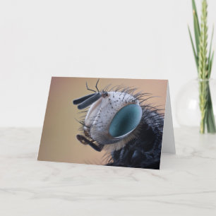 Close-up Insect Bug Head Card