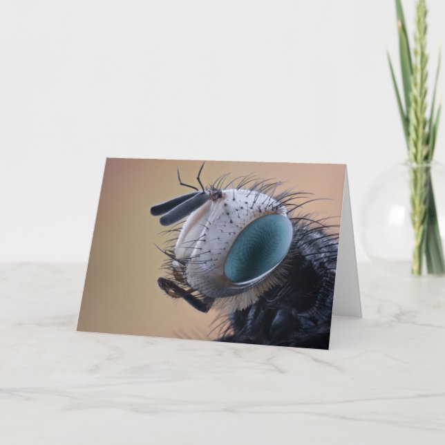 Close-up Insect Bug Head Card (Front)