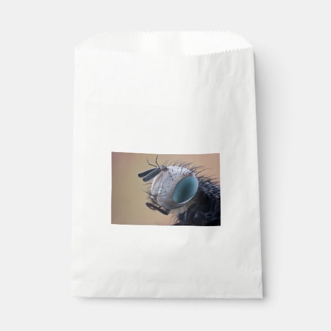 Close-up Insect Bug Head Favour Bag (Front)