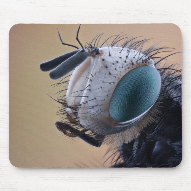 Close-up Insect Bug Head Mouse Pad (Front)