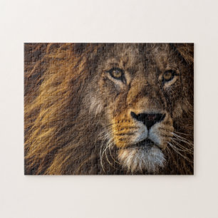 Close Up Lion, Adult Male Jigsaw Puzzle