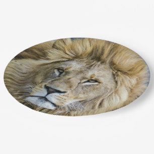 Close Up Lion's Head Paper Plate