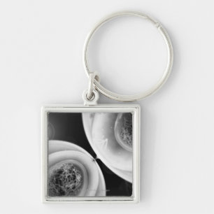 Close up look at cell division key ring