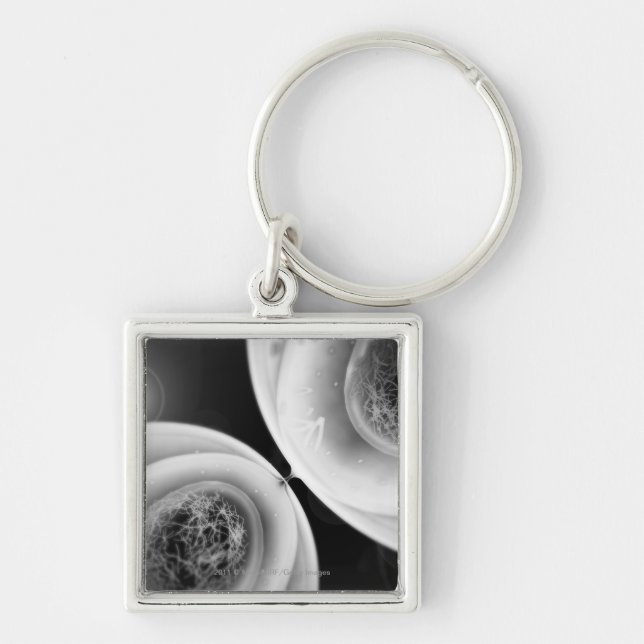 Close up look at cell division key ring (Front)