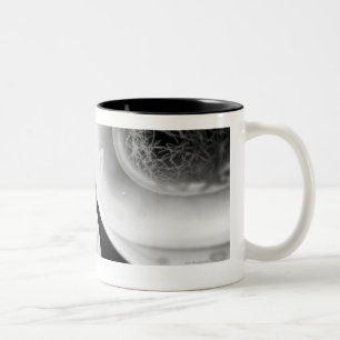 Close up look at cell division Two-Tone coffee mug