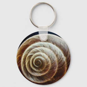 Close-Up Look Of Snail Shell Key Ring