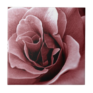 Close Up Monochrome Rose Flower Ceramic Tile
