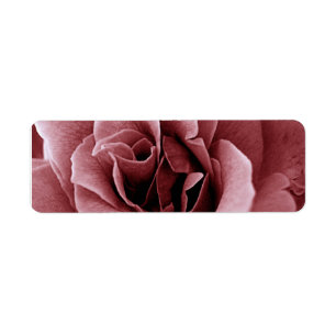 Close Up Monochrome Rose Flower Return Address Label
