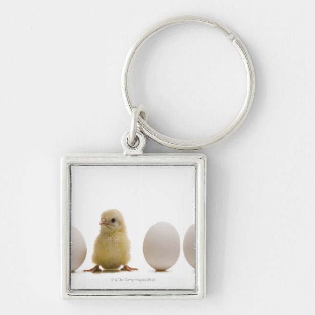 Close-up of a baby chick with three eggs key ring (Front)