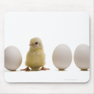 Close-up of a baby chick with three eggs mouse pad