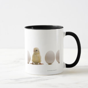 Close-up of a baby chick with three eggs mug