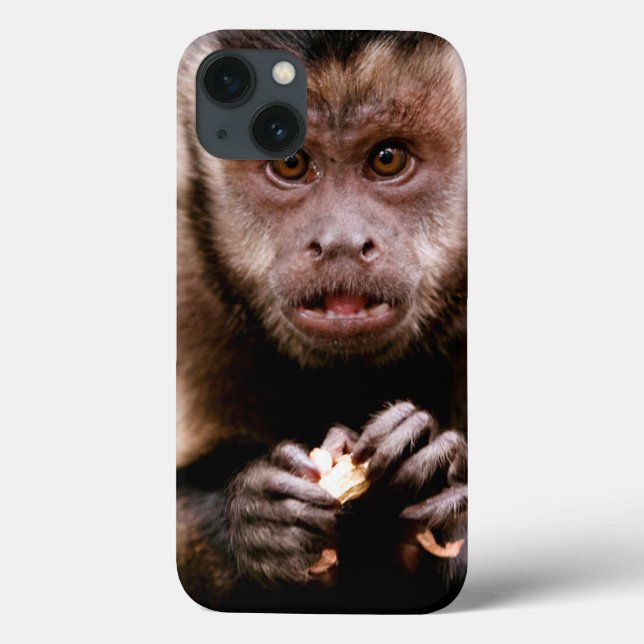 Close-up of a black-capped capuchin monkey Case-Mate iPhone case (Back)