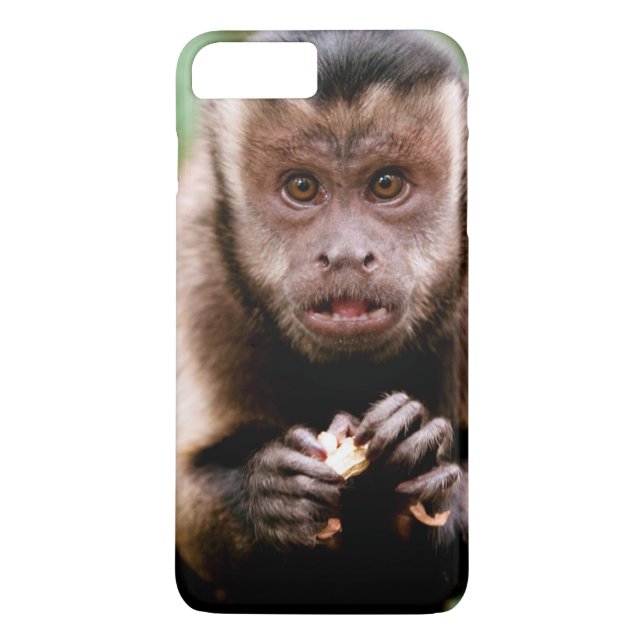 Close-up of a black-capped capuchin monkey Case-Mate iPhone case (Back)