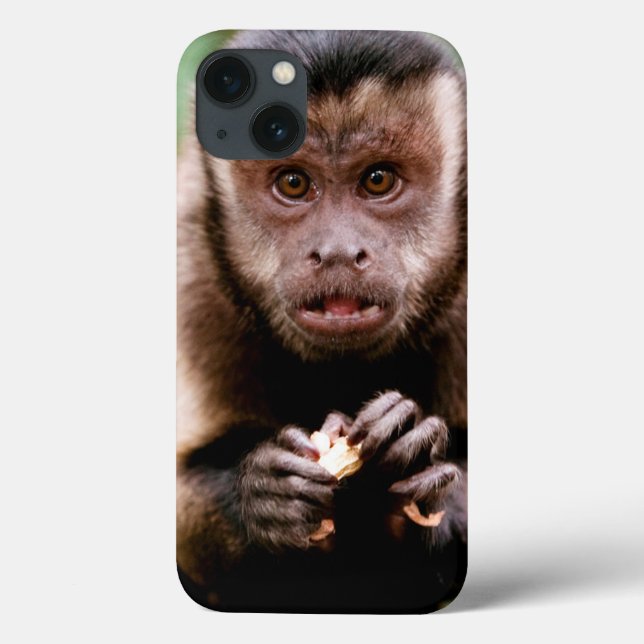 Close-up of a black-capped capuchin monkey Case-Mate iPhone case (Back)