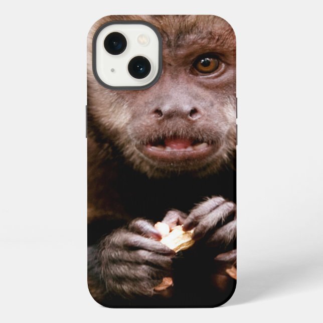 Close-up of a black-capped capuchin monkey iPhone case (Back)