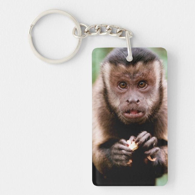 Close-up of a black-capped capuchin monkey key ring (Front)