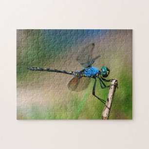 Close-Up Of A Blue Dragon Fly On A Branch Jigsaw Puzzle