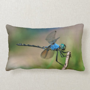 Close-Up Of A Blue Dragon Fly On A Branch Lumbar Cushion