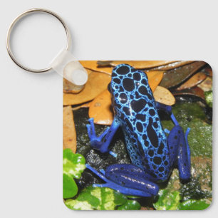 Close up of a Blue Poision Dart Frog Key Ring