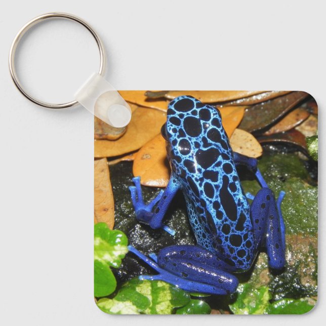 Close up of a Blue Poision Dart Frog Key Ring (Front)