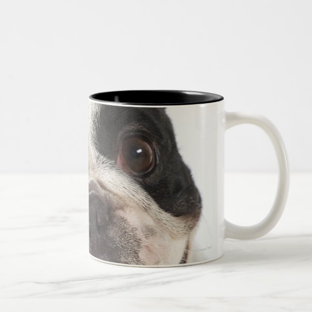 Close-up of a Boston Terrier Two-Tone Coffee Mug (Right)