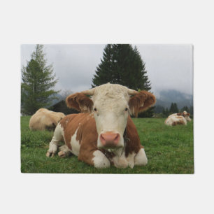 Close up of a brown and white cow laying down doormat