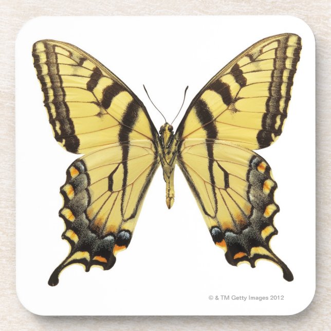 Close-up of a butterfly 2 coaster (Front)