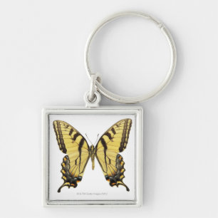 Close-up of a butterfly 2 key ring