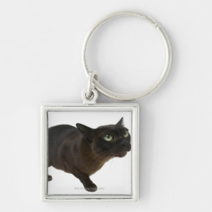Close-up of a cat 2 key ring