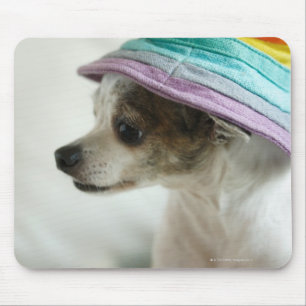 Close-up of a Chihuahua wearing a hat Mouse Pad