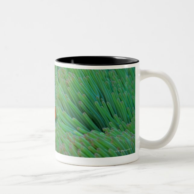 Close up of a clown anemone fish, Okinawa, Japan Two-Tone Coffee Mug (Right)