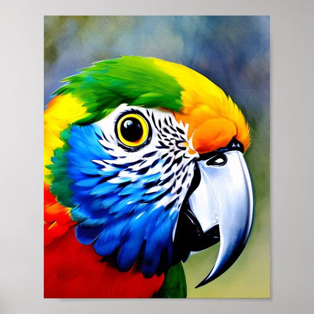 Close up of a colourful parrot's face bird poster (Front)
