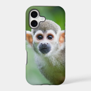 Close-up of a Common Squirrel Monkey