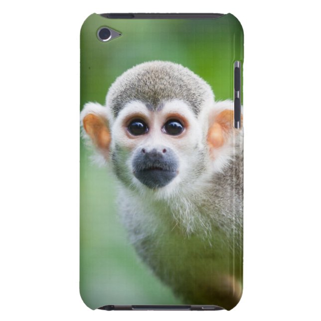 Close-up of a Common Squirrel Monkey Barely There iPod Cover (Back)