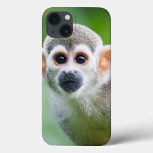 Close-up of a Common Squirrel Monkey iPhone 13 Case