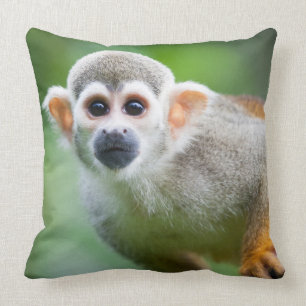 Close-up of a Common Squirrel Monkey Cushion