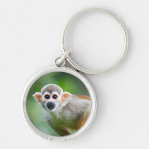 Close-up of a Common Squirrel Monkey Key Ring