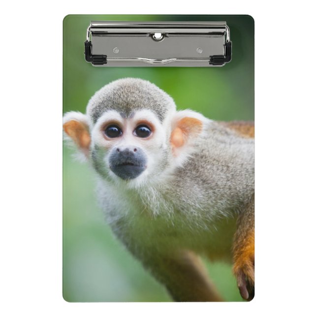 Close-up of a Common Squirrel Monkey Mini Clipboard (Front)