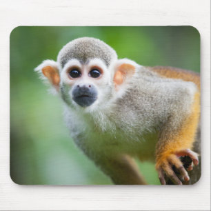 Close-up of a Common Squirrel Monkey Mouse Pad