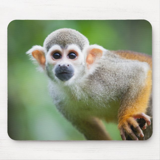 Close-up of a Common Squirrel Monkey Mouse Pad (Front)