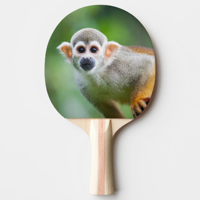 Close-up of a Common Squirrel Monkey Ping Pong Paddle (Front)