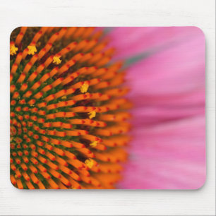Close-up of a Cone Flower in the summertime, Mouse Pad